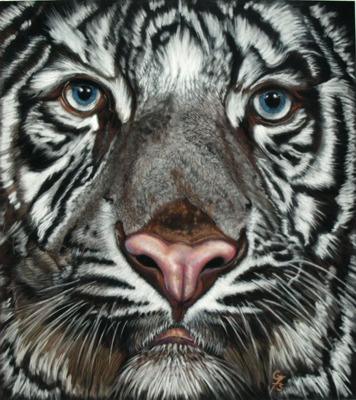 White Tiger by artist Gaylon F. Stagner